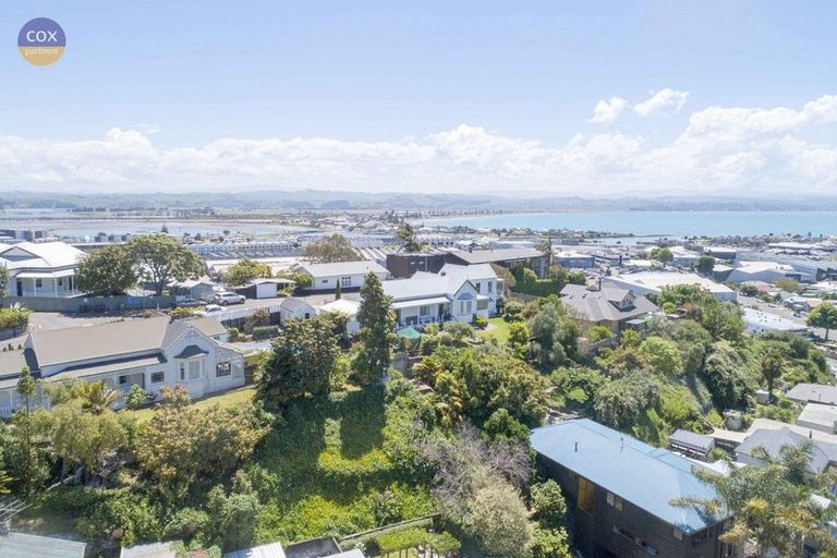 Photo of property in 23 Denholm Road, Hospital Hill, Napier, 4110