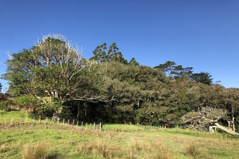 Photo of property in 38 Joblin Road, Wainui, Silverdale, 0994