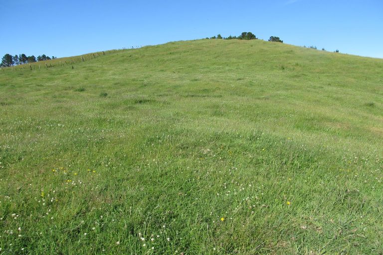 Photo of property in 215 Forest Road, Oruanui, Taupo, 3384