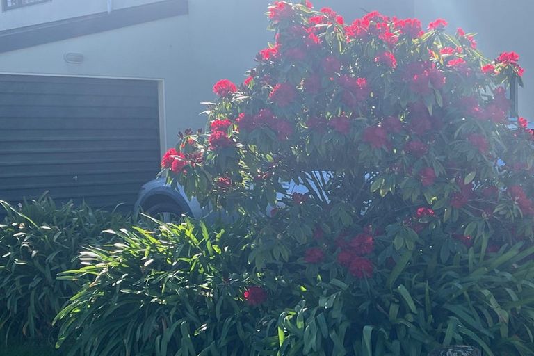 Photo of property in 3/2 Leamington Street, Addington, Christchurch, 8024