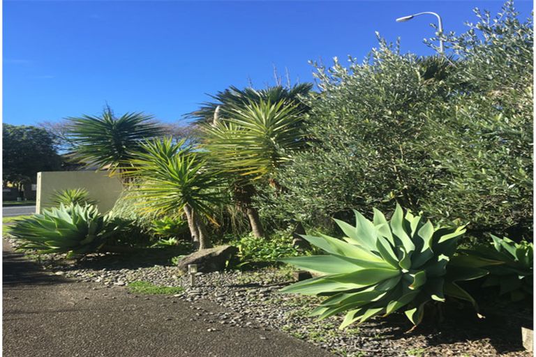 Photo of property in 6 Kilimanjaro Drive, Northpark, Auckland, 2013