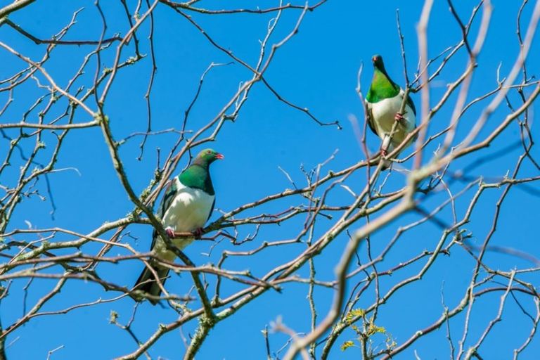 Photo of property in 307 Campbell Road, Pukehina, Te Puke, 3186