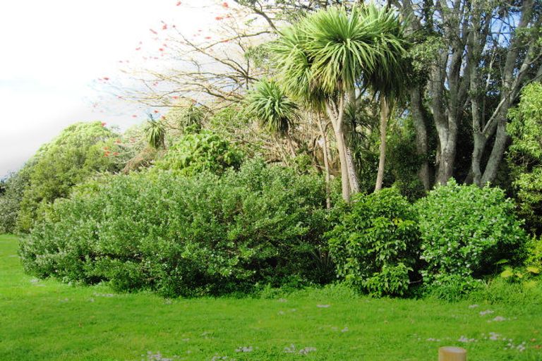 Photo of property in 121 Fourth Avenue, Tauranga, 3110