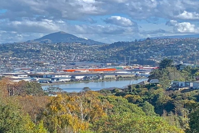 Photo of property in 33 Elliffe Place, Shiel Hill, Dunedin, 9013