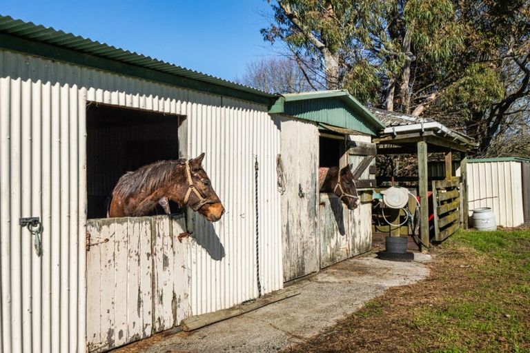 Photo of property in 108 Wairoa Road, Minden, Tauranga, 3171