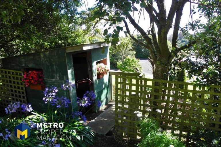 Photo of property in 59 Aytoun Street, Waverley, Dunedin, 9013