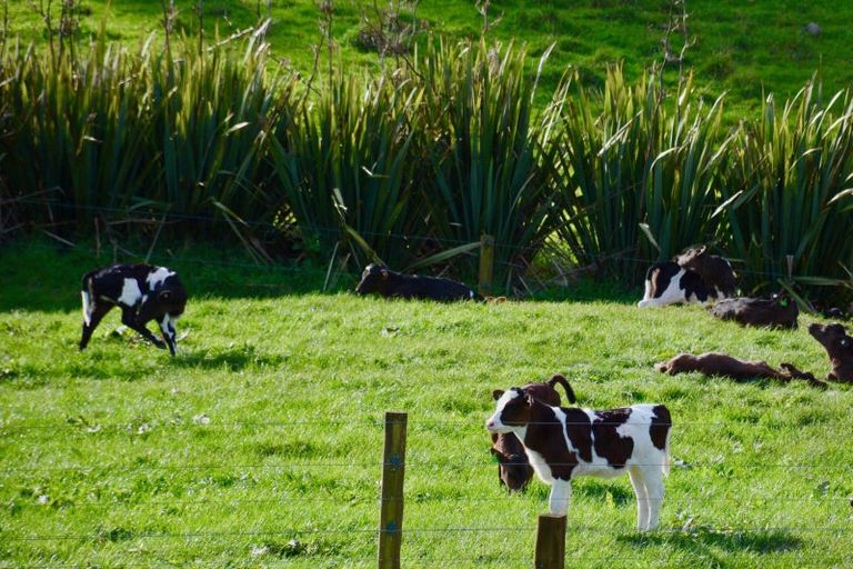 Photo of property in 139b Golden Valley Road, Waihi, 3681