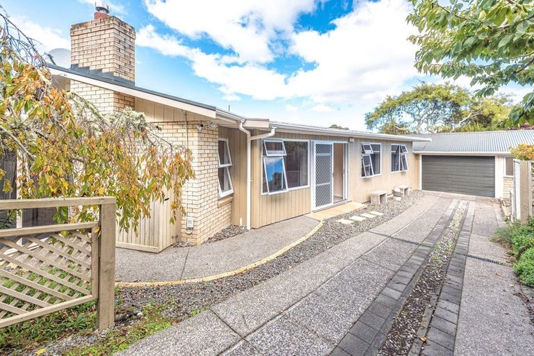 Photo of property in 17 Bristow Street, Saint Johns Hill, Whanganui, 4501