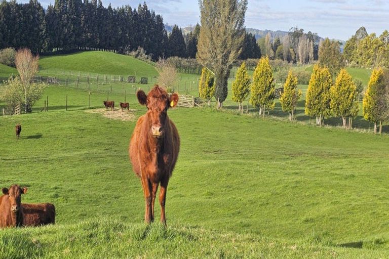 Photo of property in 94 Oturoa Road, Hamurana, 3072