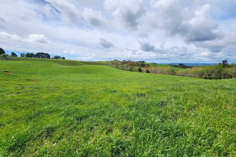 Photo of property in 697 Maungatawhiri Road, Raglan, 3295