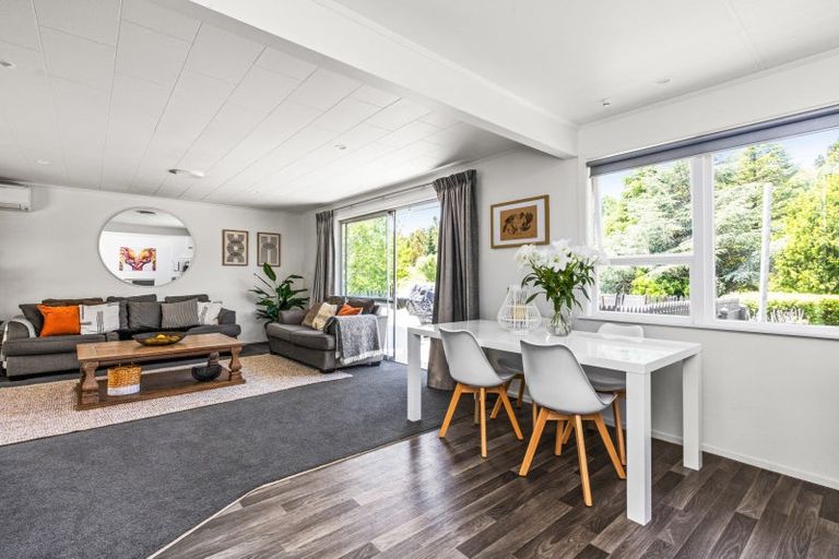 Photo of property in 20 Tokomaru Drive, Havelock North, 4130