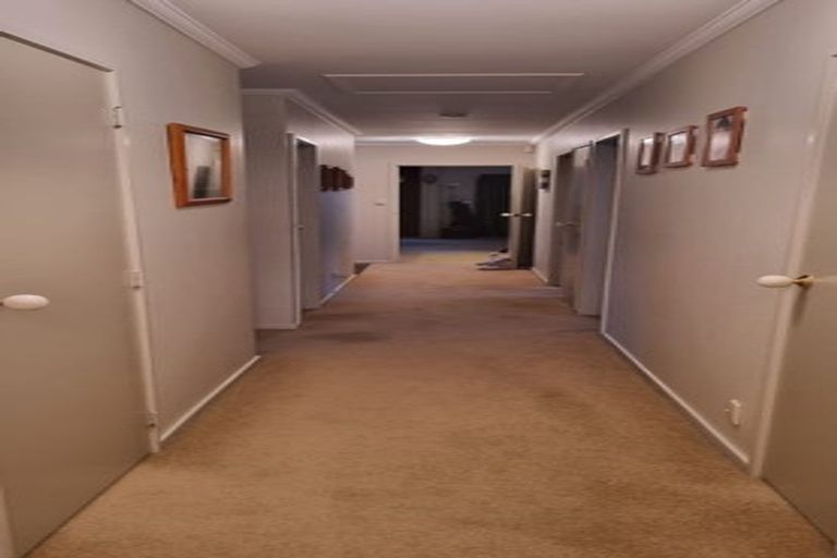 Photo of property in 11 Audrey Place, Matua, Tauranga, 3110