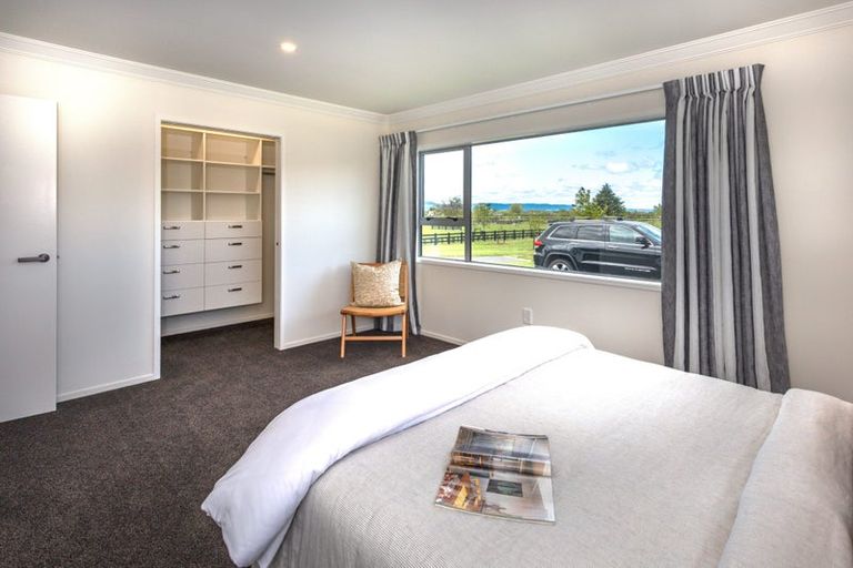 Photo of property in 173 Station Road, Matamata, 3472