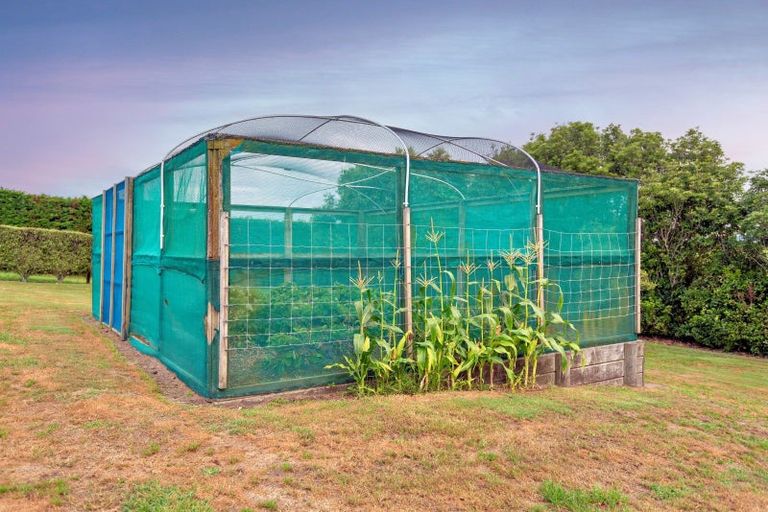 Photo of property in 121b Aerodrome Road, Thornton, Whakatane, 3191