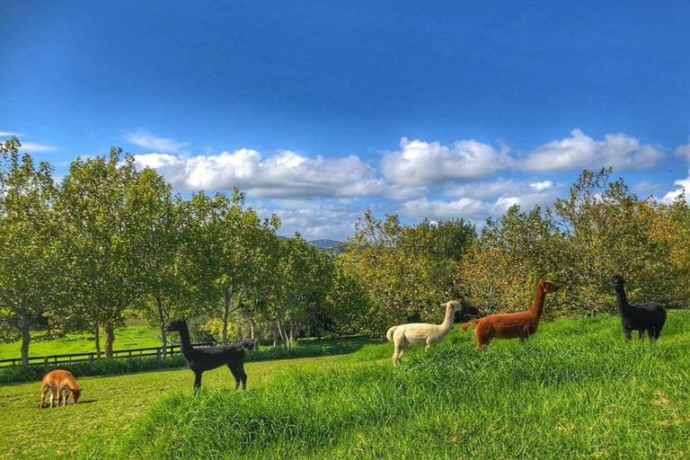 Photo of property in 215 Broomfields Road, Whitford, Howick, 2571