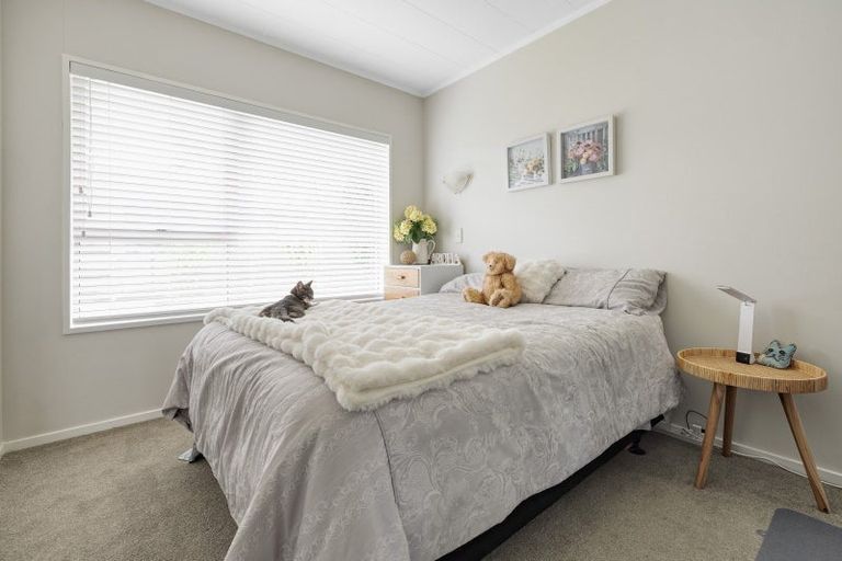 Photo of property in 153 Te Hono Street, Maungatapu, Tauranga, 3112