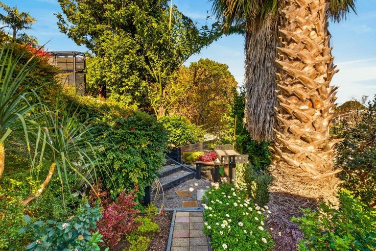 Photo of property in 8 Selwyn Road, Hospital Hill, Napier, 4110