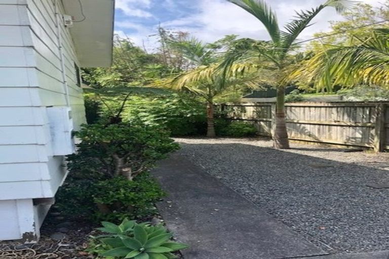 Photo of property in 13 Fourth Avenue, Kingsland, Auckland, 1021