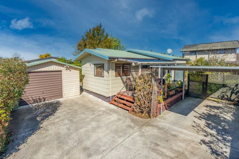 Photo of property in 1010b Rata Street, Mahora, Hastings, 4120