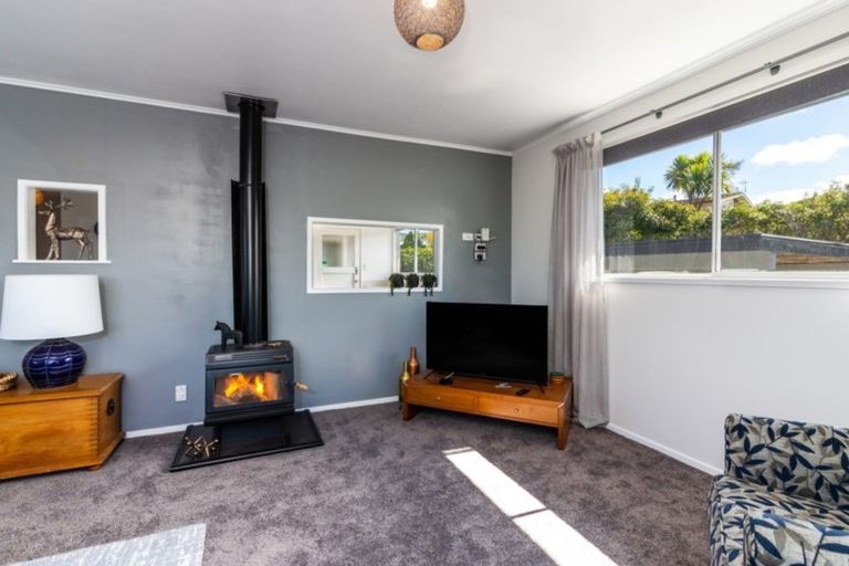 Photo of property in 55 Norman Smith Street, Nukuhau, Taupo, 3330