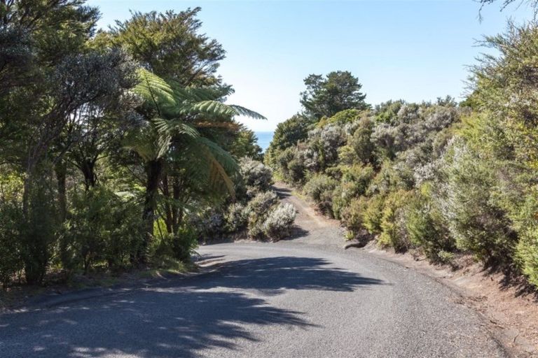 Photo of property in 160 Pumpkin Hill Road, Pumpkin Hill, Whitianga, 3591