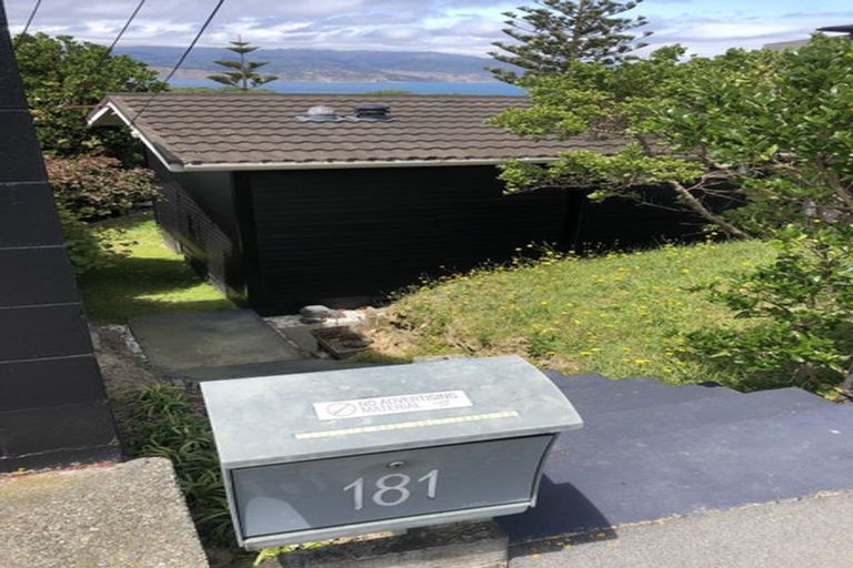 Photo of property in 181 Buckley Road, Southgate, Wellington, 6023