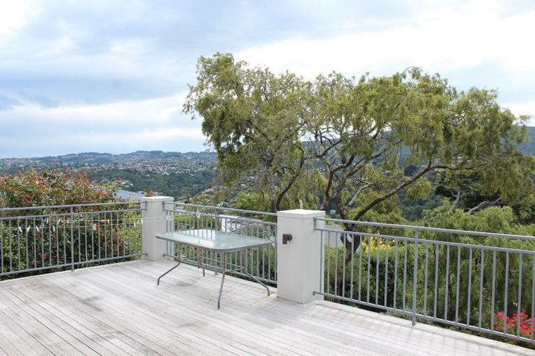 Photo of property in 113 Signal Hill Road, Opoho, Dunedin, 9010