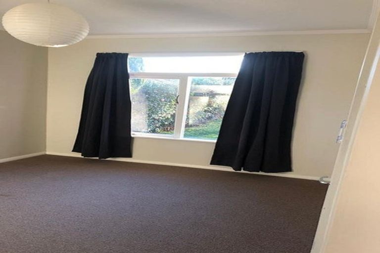 Photo of property in 58 Totara Street, Lansdowne, Masterton, 5810