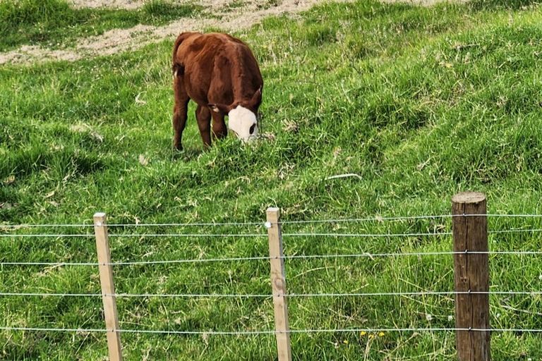 Photo of property in 23 Stuart Road, Whangarei Heads, Whangarei, 0174