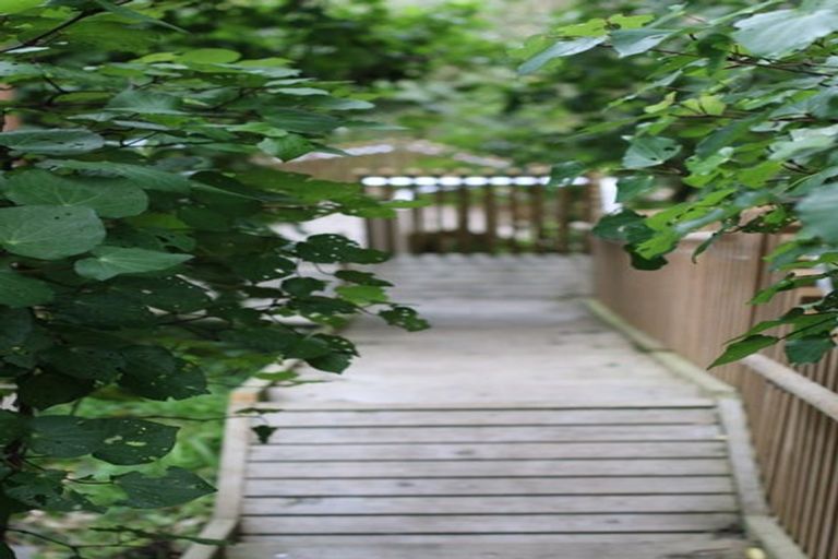 Photo of property in 55a Mount Pleasant Road, Aro Valley, Wellington, 6012