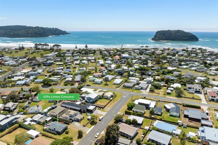 Photo of property in 109a Linton Crescent, Whangamata, 3620