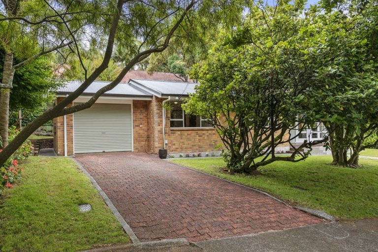 Photo of property in 1 Summit Drive, Mount Albert, Auckland, 1025