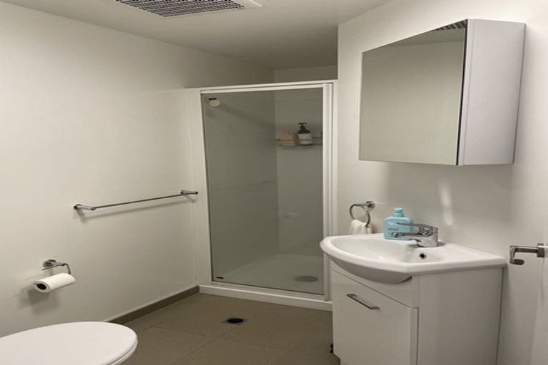 Photo of property in Quantum On Thorndon Quay, 4/163a Thorndon Quay, Pipitea, Wellington, 6011