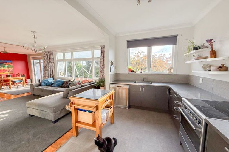 Photo of property in 49 Dome Street, Newfield, Invercargill, 9812