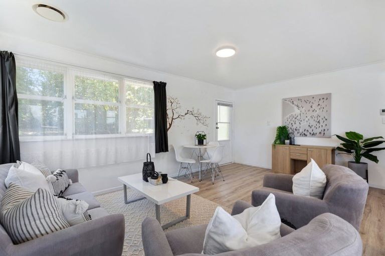 Photo of property in 155 Cambridge Road, Bethlehem, Tauranga, 3110