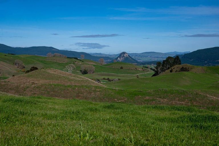 Photo of property in 617 Dunkirk Road, Atiamuri, 3078