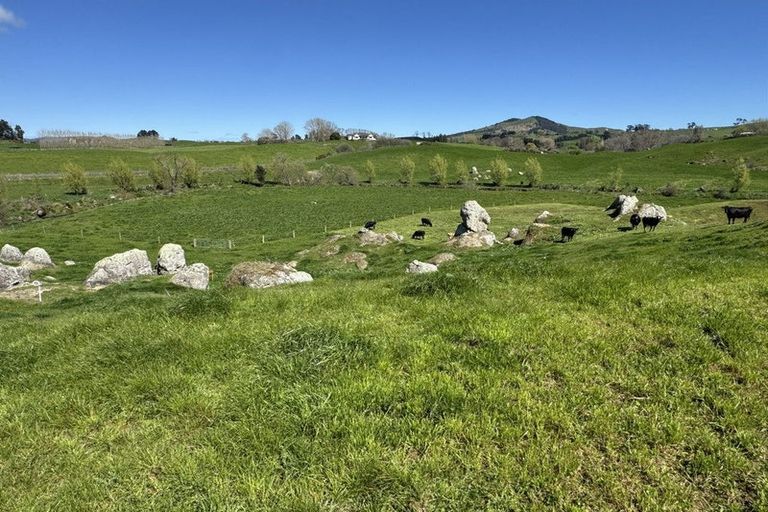 Photo of property in 258 Wharepapa Road South, Wharepapa South, Te Awamutu, 3877