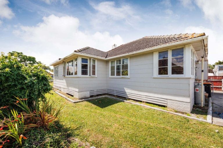 Photo of property in 48 Tweed Street, Roslyn, Palmerston North, 4414