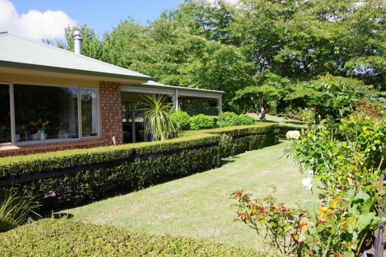 Photo of property in 141 Palmer Mill Road, Wairakei, Taupo, 3384