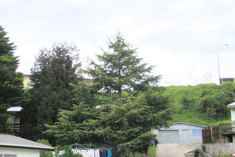 Photo of property in 14 Luke Street, Brookfield, Tauranga, 3110