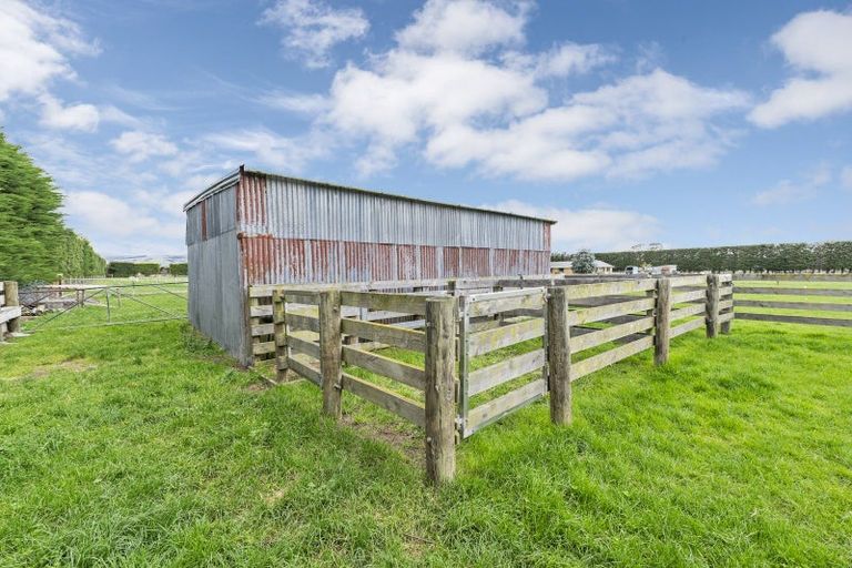 Photo of property in 224 Amberley Beach Road, Amberley, 7481