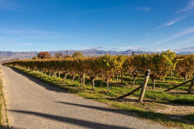 Photo of property in 322 Middle Renwick Road, Springlands, Blenheim, 7271