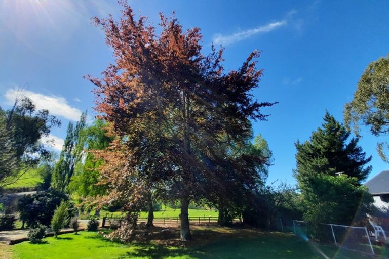 Photo of property in 29 Coghill Road, Waitahuna, Lawrence, 9593