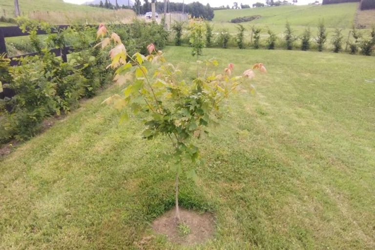 Photo of property in 320 Pokuru Road, Pokuru, Te Awamutu, 3875