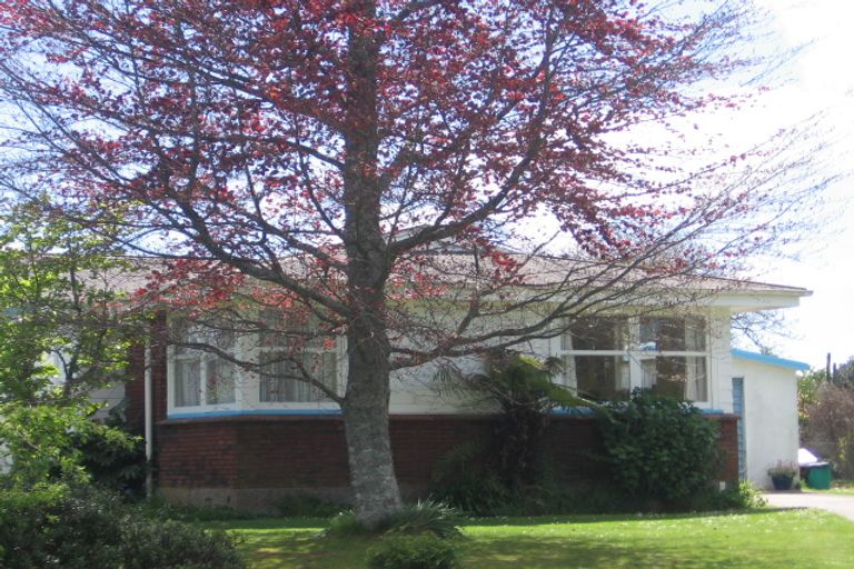 Photo of property in 3 Sheffield Street, Matamata, 3400