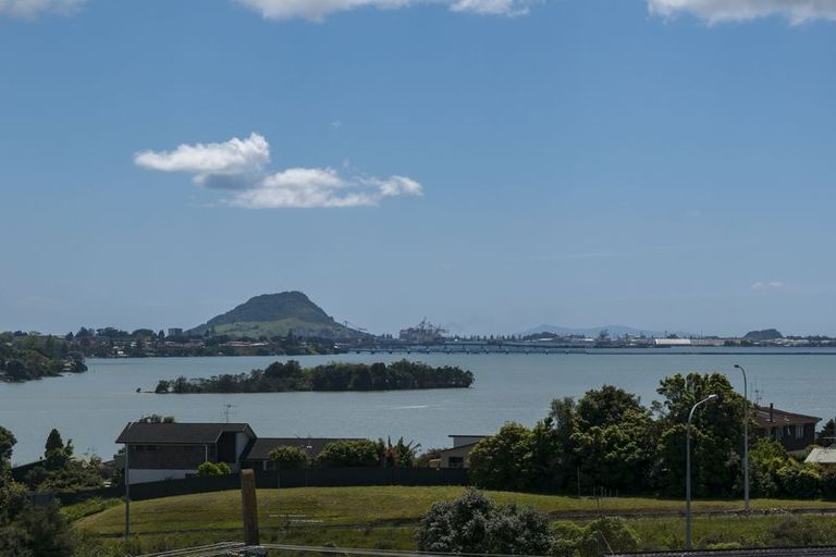 Photo of property in 22a Wickham Place, Hairini, Tauranga, 3112