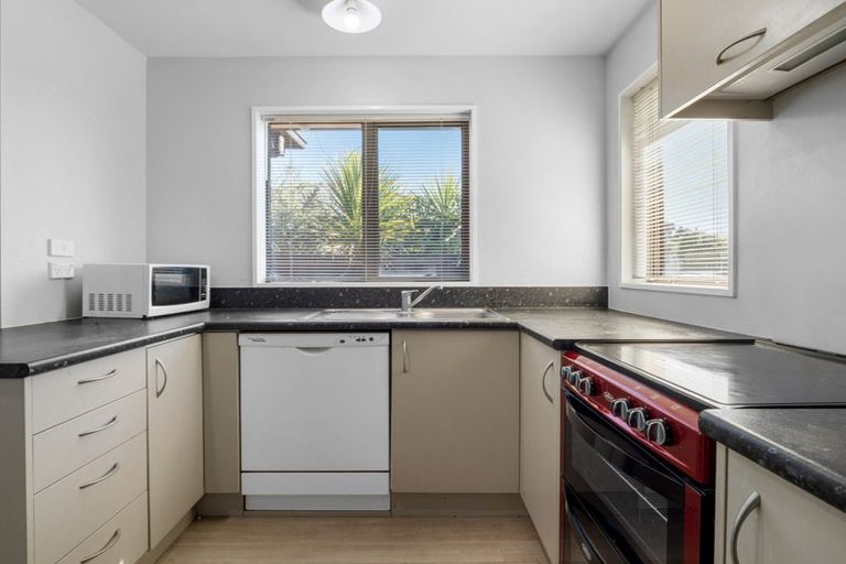 Photo of property in 17 Picton Avenue, Riccarton, Christchurch, 8011