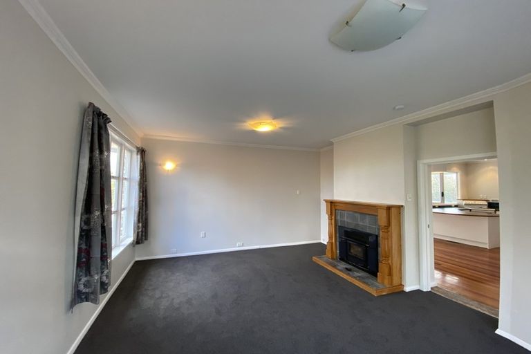 Photo of property in 101 Lake Crescent, Hamilton Lake, Hamilton, 3204