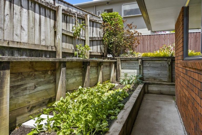 Photo of property in 9a Wilton Street, Westown, New Plymouth, 4310