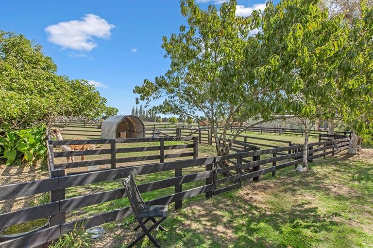 Photo of property in 85 Tarr Road, Ohaupo, 3881